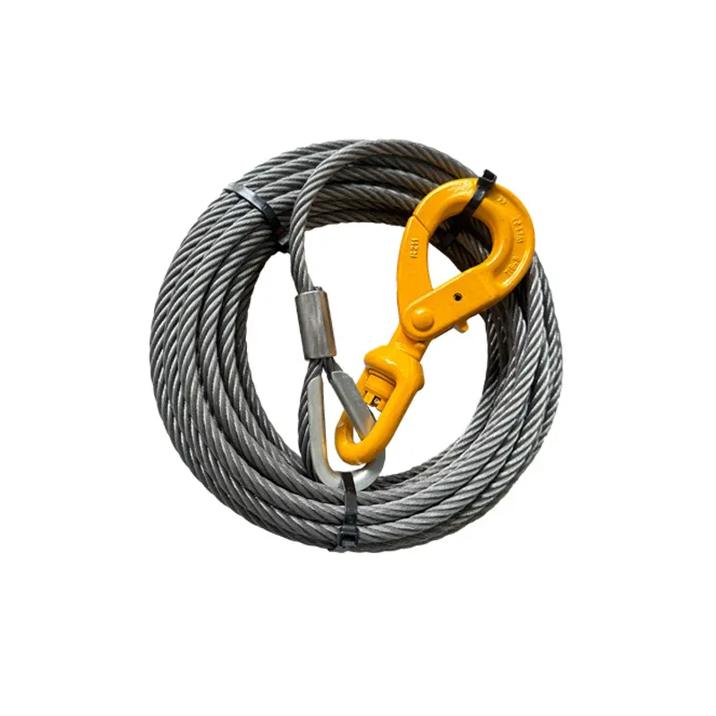 Car Trailer Wire Rope Winch (8).jpg